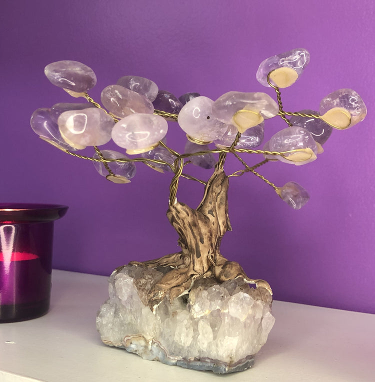Amethyst Crystal Tree (medium)